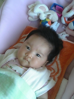 にらみがきついぞ